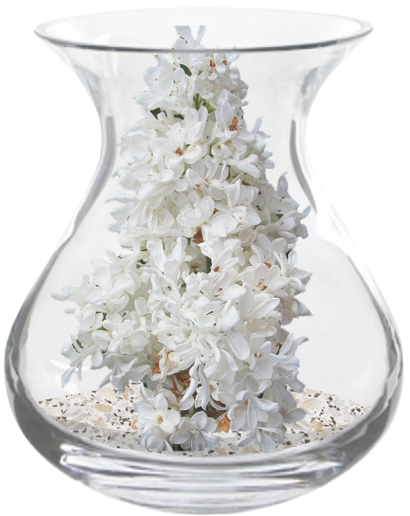 vase florale (à insérer dans décor)