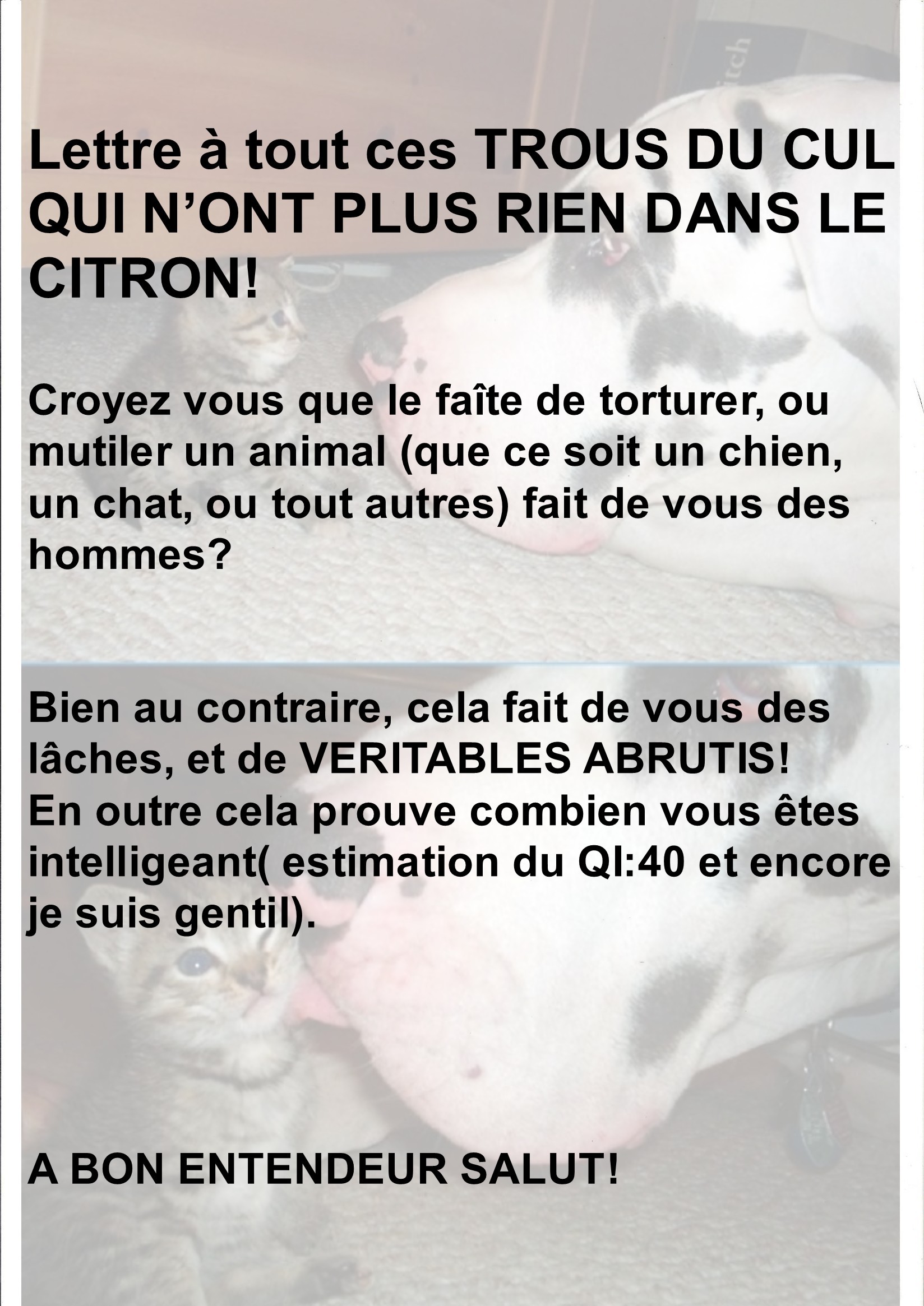 Texte Argumentatif Sur La Maltraitance Des Animaux